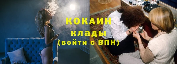 индика Алексин