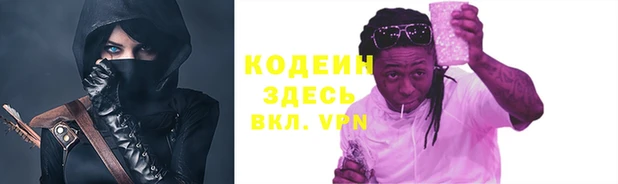 индика Алексин