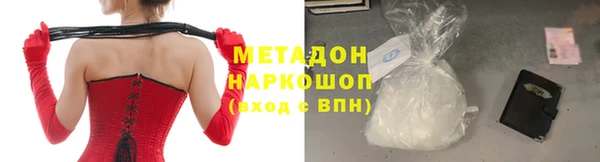 индика Алексин
