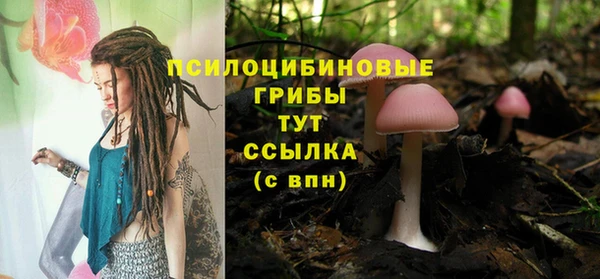 герыч Алзамай