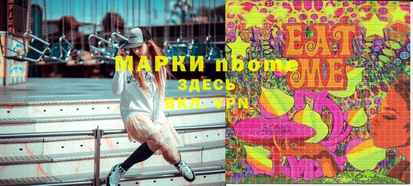 индика Алексин